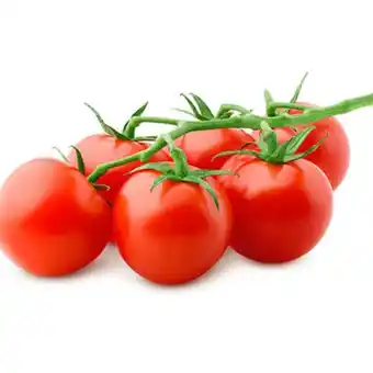 Tomate rama bio emb. 500 gr