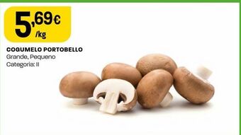 Cogumelos