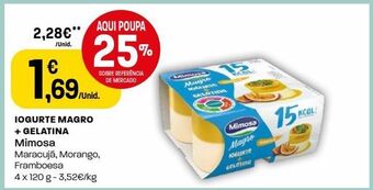 Intermarché Iogurte mimosa promoção