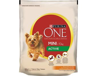 Auchan Ração cão mini purina one promoção