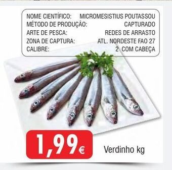 Froiz Peixe promoção