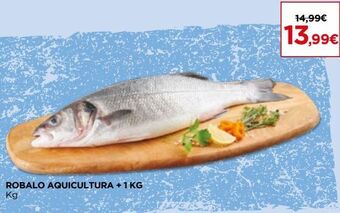 Robalo
