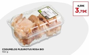 El Corte Inglés Cogumelos promoção
