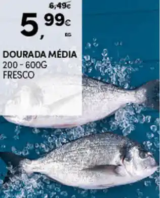 Dourada Média 200-600g Fresco