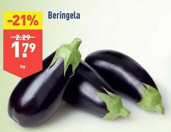 ALDI Berinjela promoção