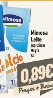 Belita Leite com cálcio mimosa promoção
