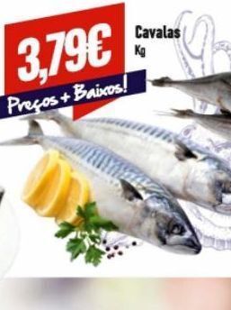 Belita Peixe promoção
