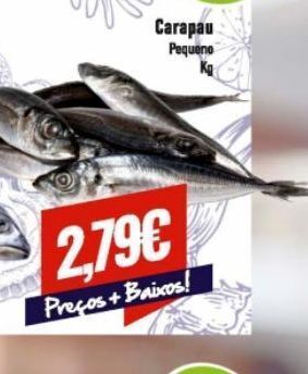 Belita Peixe promoção