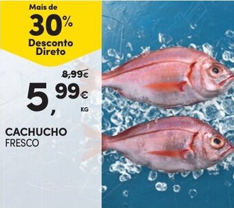 Continente CACHUCHO FRESCO KG promoção