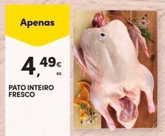 Continente PATO INTEIRO FRESCO promoção