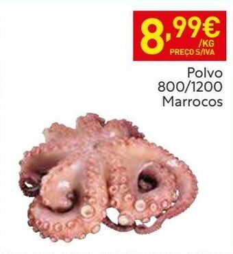 Recheio Polvo promoção