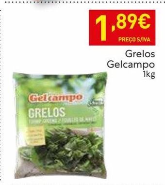 Folhas para salada gelcampo