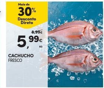 Continente Bom dia Peixe promoção