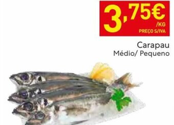 Recheio Carapau Médio/ Pequeno promoção