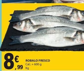 E.Leclerc Robalo promoção