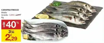E.Leclerc Carapau Fresco promoção