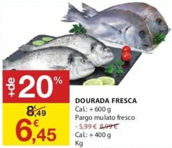 E.Leclerc Dourada Fresca 600g promoção