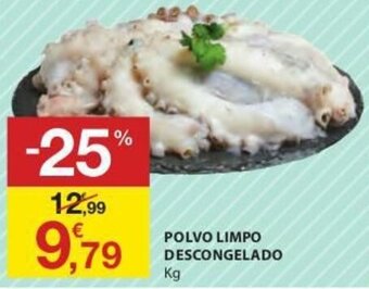 E.Leclerc Polvo Limpo Descongelado promoção