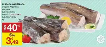 E.Leclerc Pescada Congelada 100/500g promoção