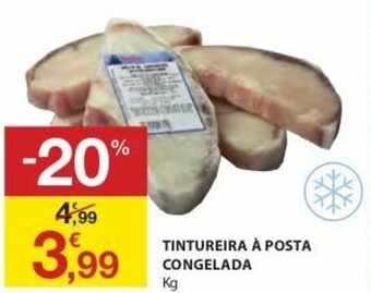 E.Leclerc Tintureira à Posta Congelada promoção