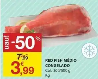 E.Leclerc Red Fish Médio Congelado 300/500g promoção