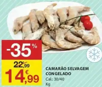 E.Leclerc Camarão Selvagem Congelado 30/40 promoção