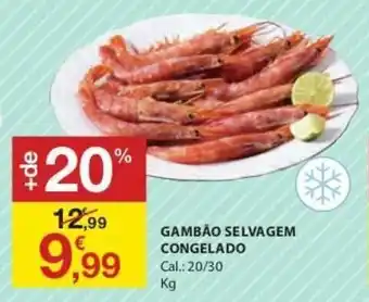 E.Leclerc Gambão Selvagem Congelado 20/30 promoção