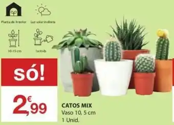 E.Leclerc Catos Mix Vaso 10, 5cm promoção