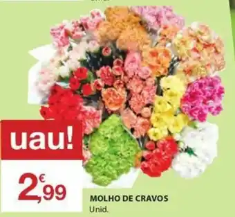 E.Leclerc Molho de Cravos promoção