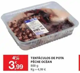 E.Leclerc Tentá Culos de Pota Pêche Océan 800g promoção