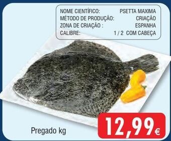 Froiz Peixe promoção