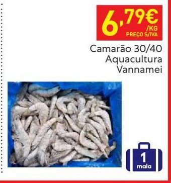 Recheio Camarão promoção