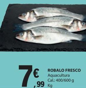 E.Leclerc Robalo promoção
