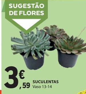 Plantas