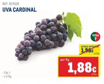 Makro UVA CARDINAL promoção