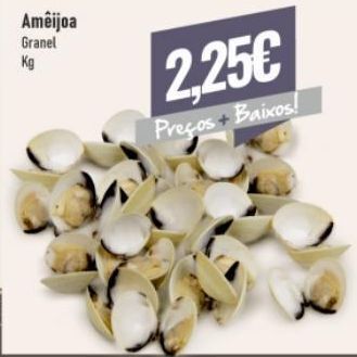 Belita Marisco promoção
