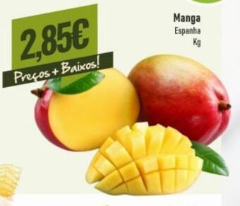 Belita Manga promoção