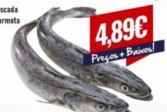 Belita Peixe promoção