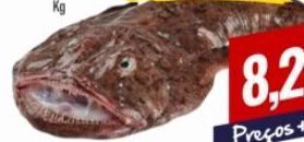 Belita Peixe promoção