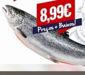 Belita Salmão promoção