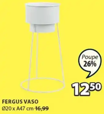 Fergus Vaso