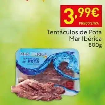 Tentáculos de lula mar ibérica