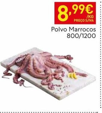 Recheio Polvo promoção