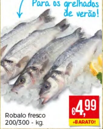 Robalo Fresco 200/300kg