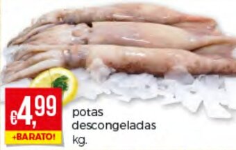 Potas Descongeladas
