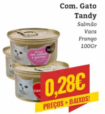 Belita Com. Gato Tandy Salmão Frango 100g promoção