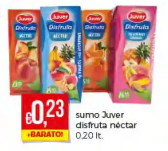Sumo Juver Disfruta Néctar 0,20lt