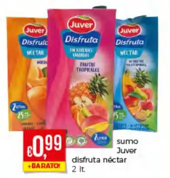 Sumo Juver Disfruta Néctar lt