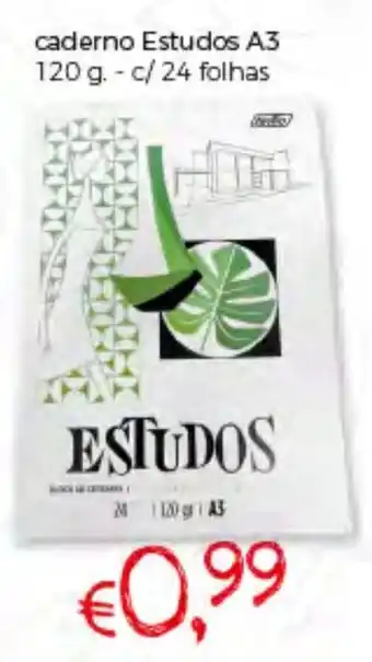 Caderno Estudos A3 120g - c/24 Folhas