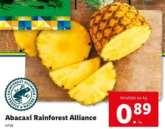 Abacaxi Rainforest Alliance
